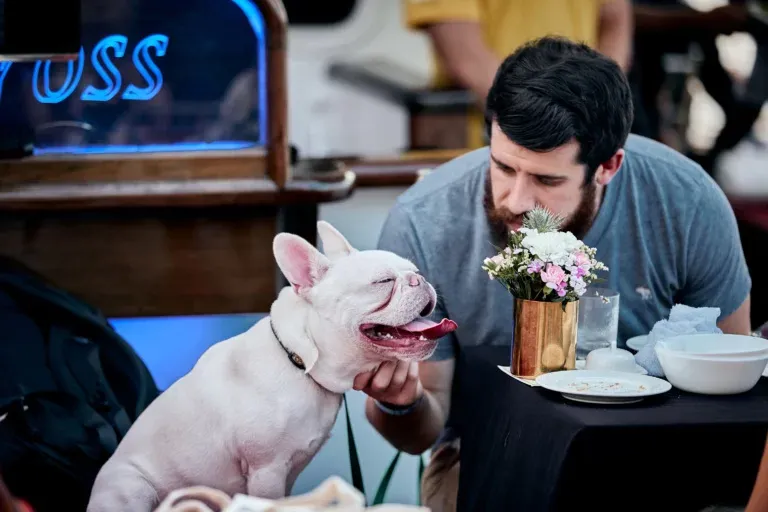 VIP Package Dog Cruise™